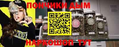 спиды Дубна