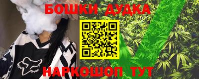 спиды Дубна