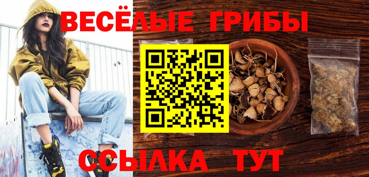 Галлюциногенные грибы GOLDEN TEACHER Люберцы